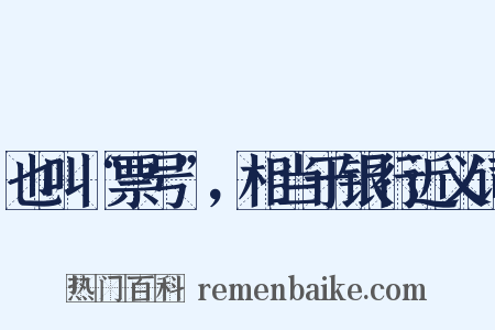 也叫“票号”，相当于银行近义词是什么意思的图片